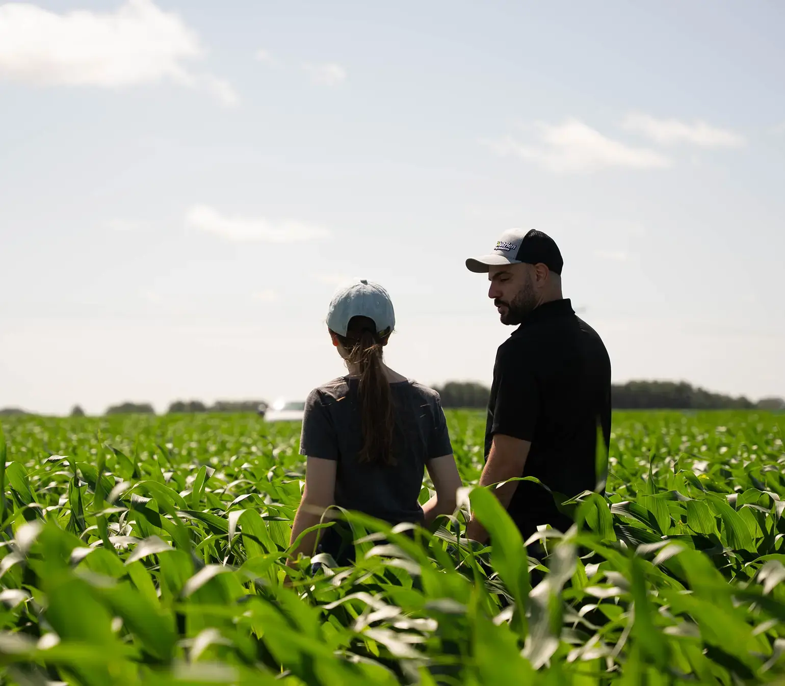 Two people standing in a green crop field, viewed from behind, talking under a bright sky.
